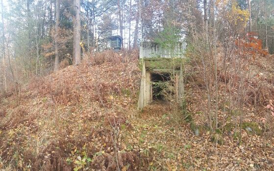 Noch ruht die MUNA im Dornröschenschlaf - die SPD Bamberg beantragt dort einen Friedwald.©Foto: cdk